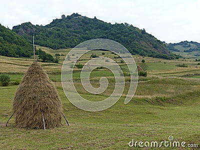 Hay`s blow to form of cone in the countryside of the Maramures in Romania. Stock Photo