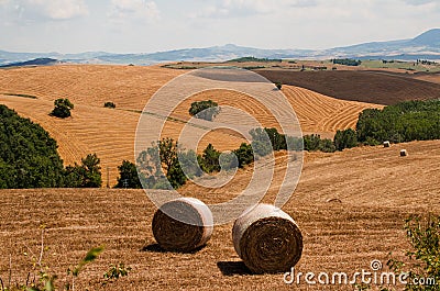 Haycocks on the field in Tuscany, Italy Stock Photo