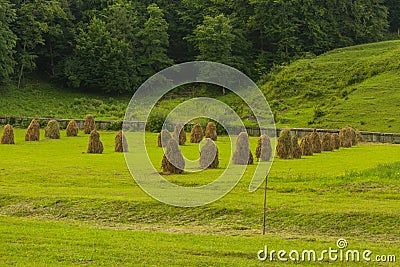 Haycocks Haystacks arranged in a field in the Bucovina Stock Photo