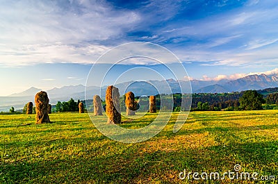 Haymaking in the ZÄ…b village in Podhale Stock Photo