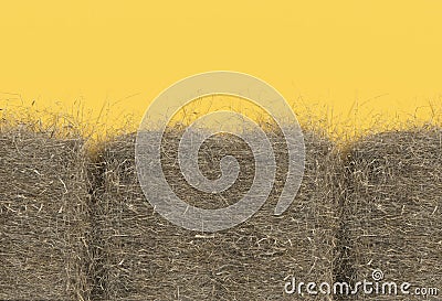 Haystack closeup isolated on yellow background with copy space. Top view. 3D render of straw. Stock Photo