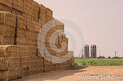 Haystack in front of two cylindrical silos on a farm. Stack of Rectangular Bales of dry straw in the open air. Agribusiness Stock Photo