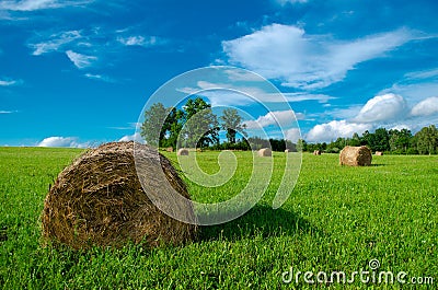 Haystack roll agriculture field landscape. Agriculture mown meadow with blue sky and clouds Stock Photo