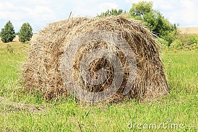 Haystack or straw in a farm field. Mowed hay from dry grass in a haystack on a farm. Hay for animal feed Stock Photo