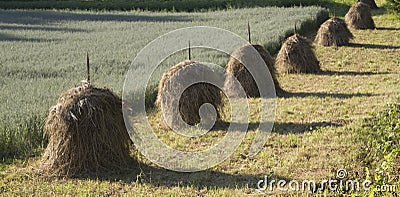 Haystacks Stock Photo