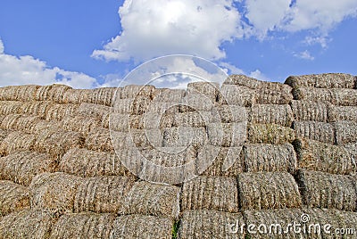 Haystacks bales in countryside Stock Photo