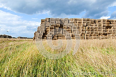 Haystacks bales in countryside Stock Photo