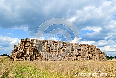 Haystacks bales in countryside Stock Photo