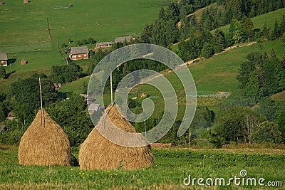 Haystacks on beautiful summer plateau in Carpathian mountain. Stock Photo