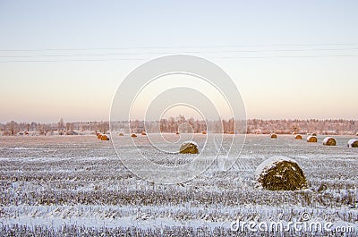 Haystacks on the frozen field Stock Photo