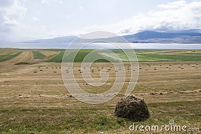 Haystacks and rolls, agriculture in Georgia, dry hay Stock Photo