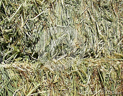 Haystacks straw close up Stock Photo