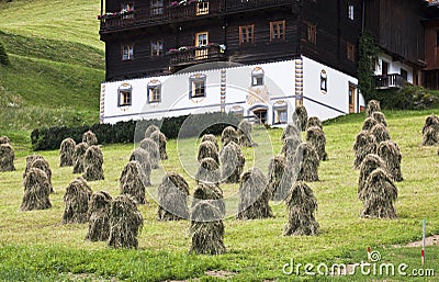 Haystacks in Tyroler Gailtal, Austria Stock Photo