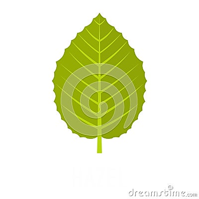 Hazel leaf icon, flat style Vector Illustration