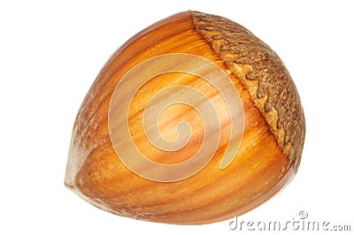 Hazel nut Stock Photo