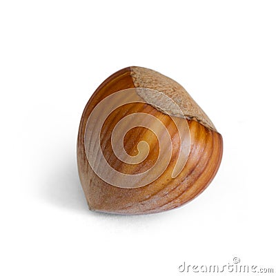 Hazelnut Stock Photo