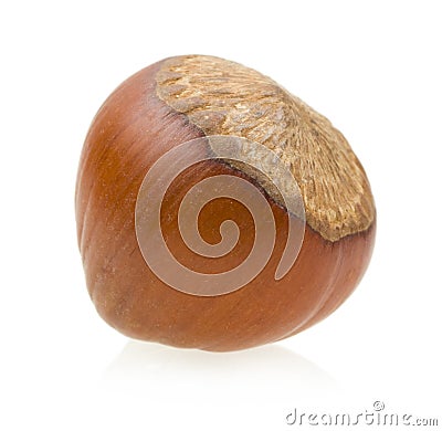 Hazelnut Stock Photo