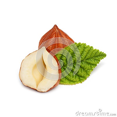 Hazelnut Stock Photo