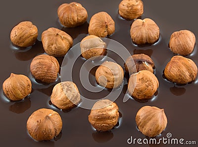 Hazelnut and chocolate Stock Photo