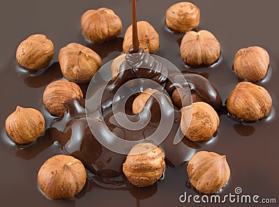 Hazelnut chocolate Stock Photo