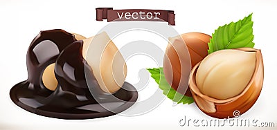 Hazelnut in chocolate. 3d realistic vector icon Vector Illustration