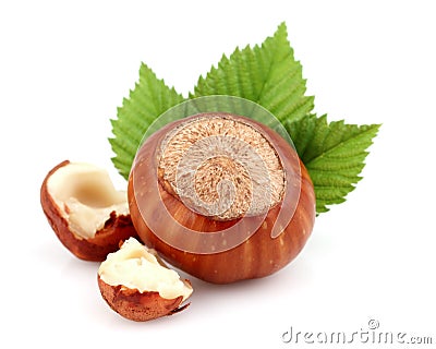 Hazelnut with cut kernel Stock Photo