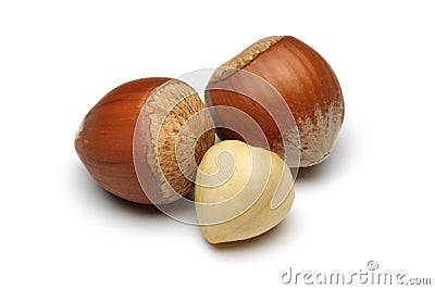 Hazelnut Group Stock Photo