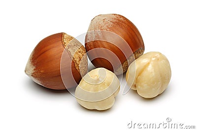 Hazelnut Group Stock Photo