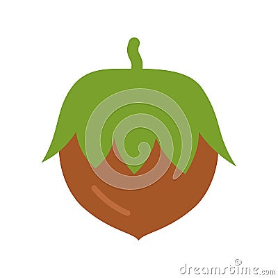 Hazelnut icon. Filbert isolated on white background Vector Illustration