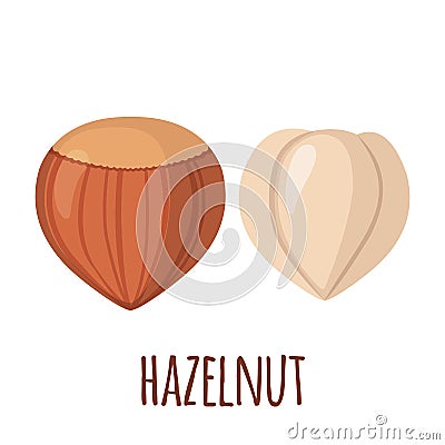 Hazelnut icon in flat style on white background Vector Illustration