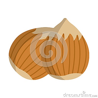 Hazelnut Icon. Food with Healthy Fats and Oils. Cartoon Vector I Vector Illustration