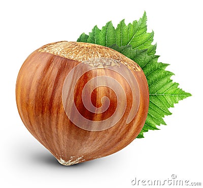 Hazelnut isolated Clipping Path Stock Photo