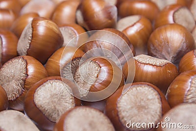 Hazelnut macro fill all frame background Stock Photo