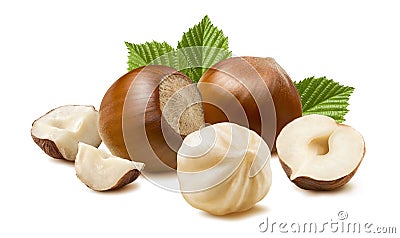 Hazelnut nut many leaves isolated on white background Stock Photo