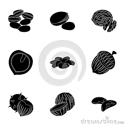 Hazelnut, pistachios, peanuts and other types of nuts.Different types of nuts set collection icons in black style vector Vector Illustration