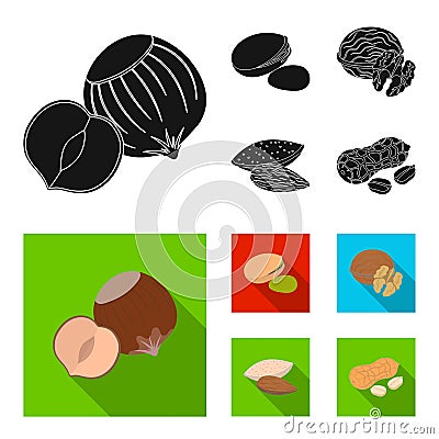 Hazelnut, pistachios, walnut, almonds.Different kinds of nuts set collection icons in black, flat style vector symbol Vector Illustration