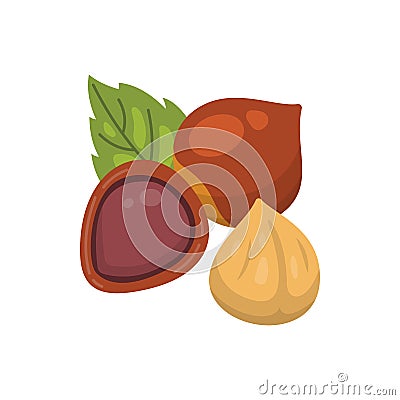 Hazelnut vector icon nuts in cartoon style. Hazel Nut food collection. Vector Illustration