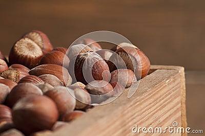 Hazelnut in wooden box Stock Photo
