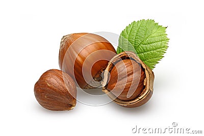 Hazelnuts Stock Photo