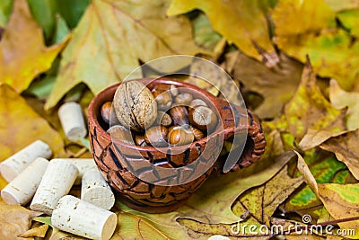 Hazelnuts in autumn Stock Photo