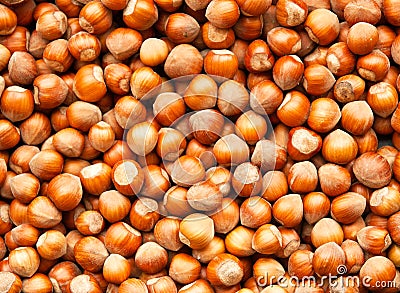 Hazelnuts background Stock Photo