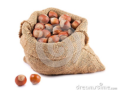 Hazelnuts in canvas sack Stock Photo