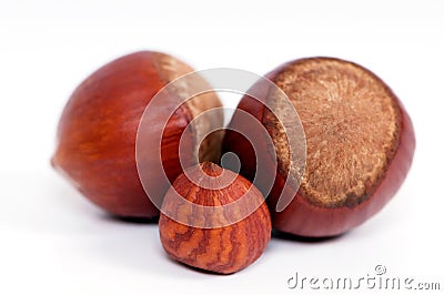 Hazelnuts closeup Stock Photo