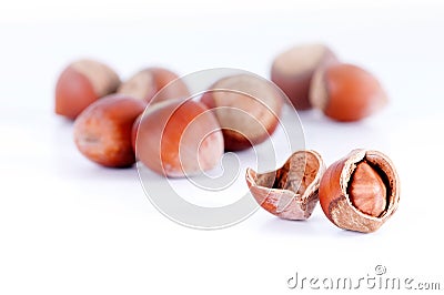 Hazelnuts closeup Stock Photo