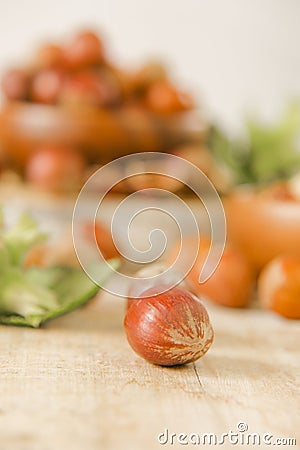 Hazelnuts harvest.Whole and shelled organic hazelnuts on a wooden table. Vegetable protein source.Healthy fats.Farmed Stock Photo