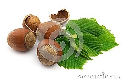 Hazelnuts with leaves Stock Photo