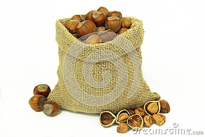 Hazelnuts in linen sack on white background. Stock Photo