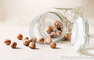 Hazelnuts scattered from the jar. Forest ripples on a light background. Stock Photo