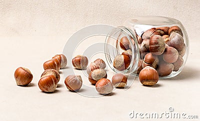 Hazelnuts scattered from the jar. Forest ripples on a light background. Stock Photo