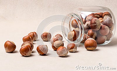 Hazelnuts scattered from the jar. Forest ripples on a light background. Stock Photo